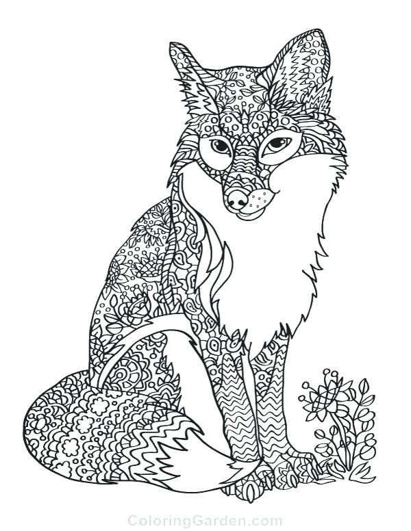 600x776 Terry Fox Coloring Sheets Pages Fuhrer Von