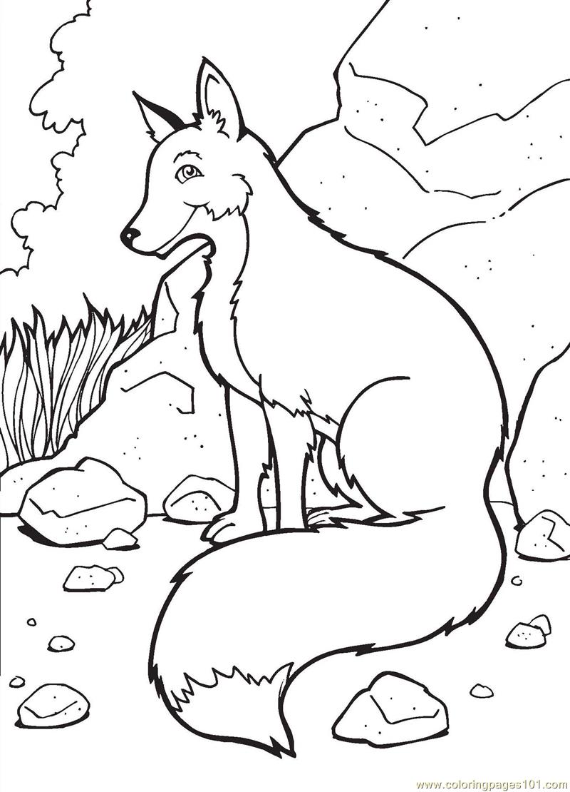 800x1110 Fox Coloring Pages Coloring Pages Fox (Mammals Gt Fox)