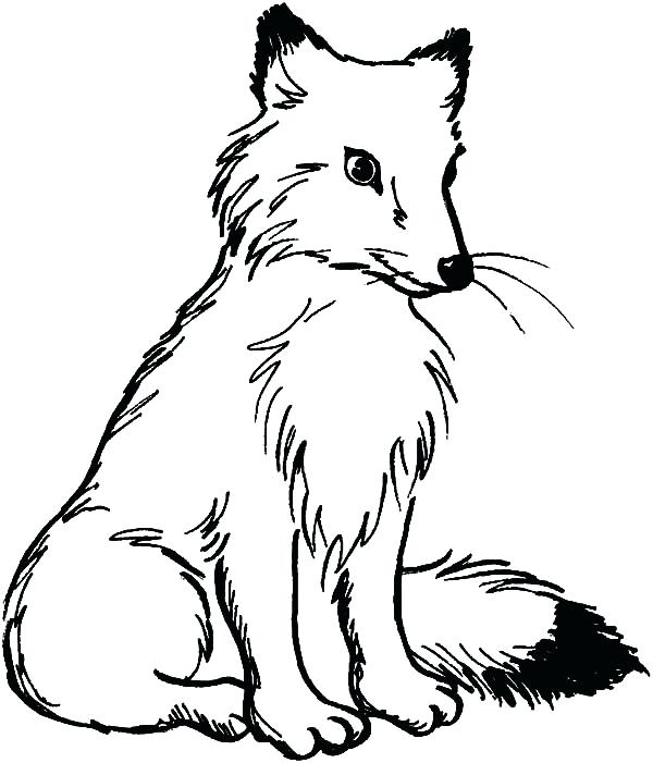 600x701 Coloring Pages Of Foxes Cute Baby Fox Coloring Page Cute Baby Fox