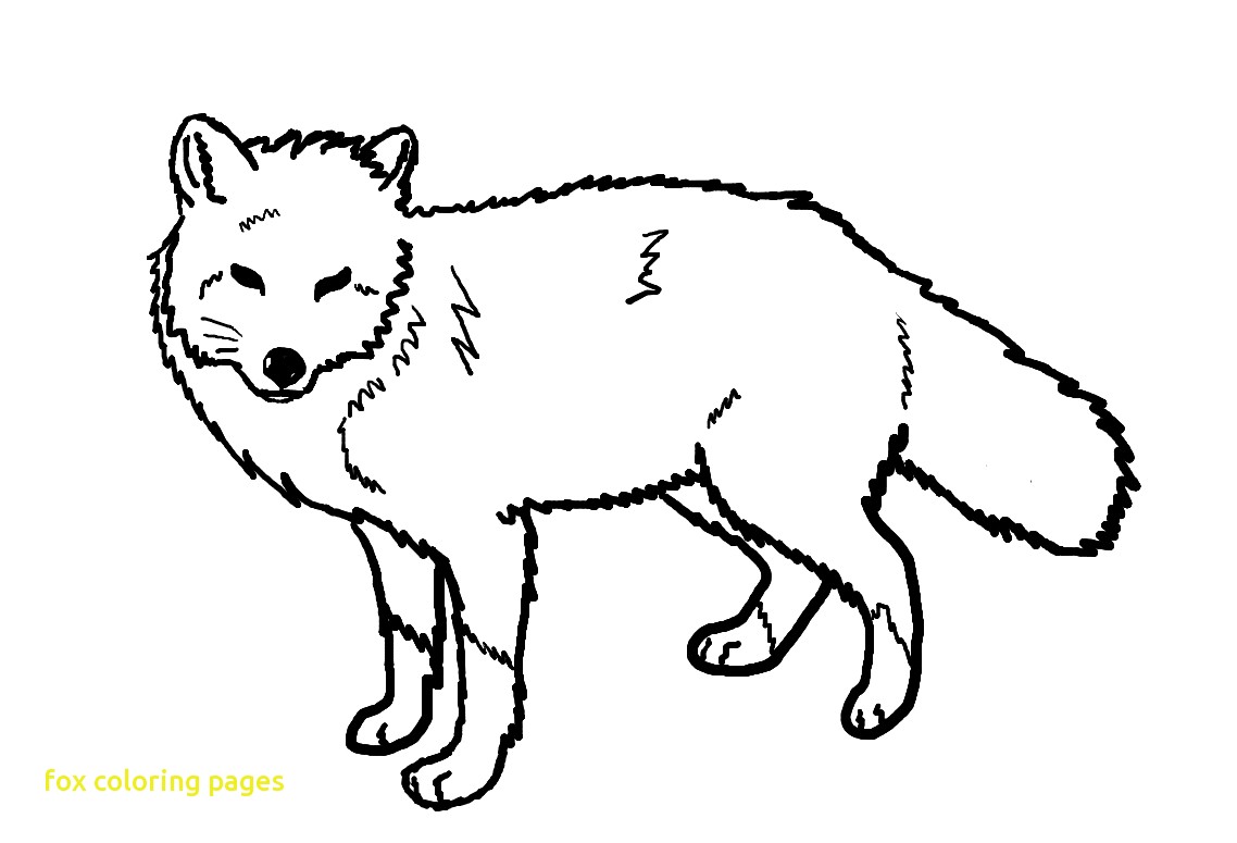 1138x775 Fox Coloring Pages With Free Printable For Kids Of Baby