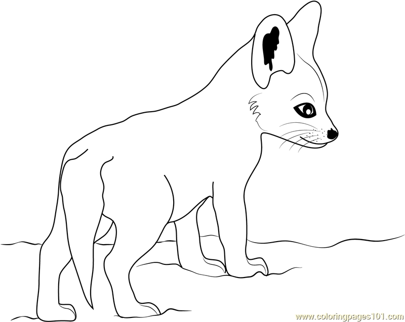 800x637 Baby Fox Coloring Pages Cute Ba Fox Coloring Page Free Fox