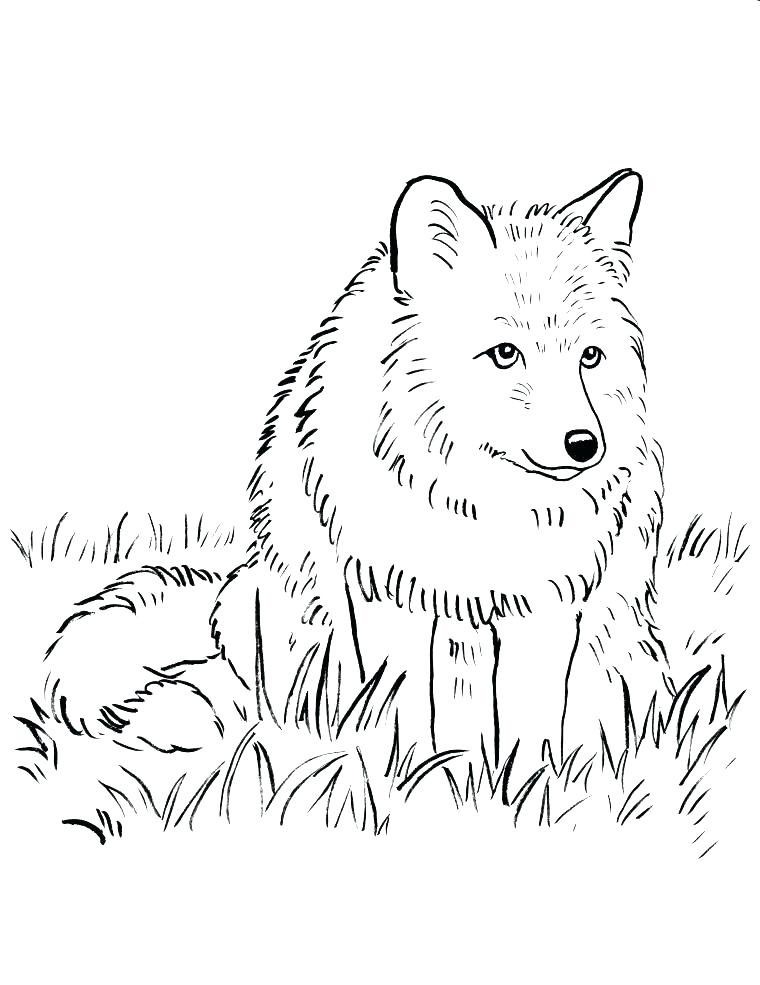 760x985 Fox And The Hound Coloring Pages Fox And The Hound Coloring Pages