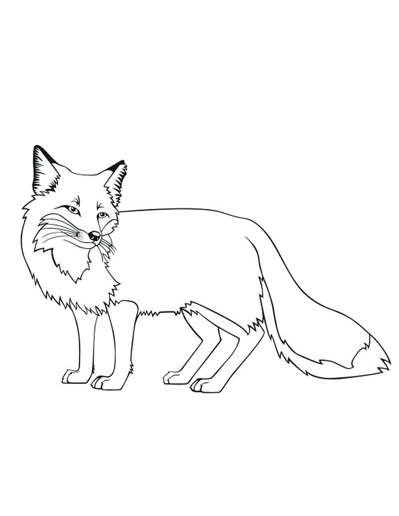 800x1035 Free Printable Fox Coloring Pages For Kids Foxes, Coloring Books
