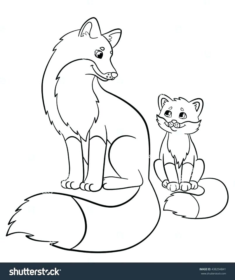 805x959 Coloring Pages Fox Terry Fox Coloring Pages Large Size Of Fox