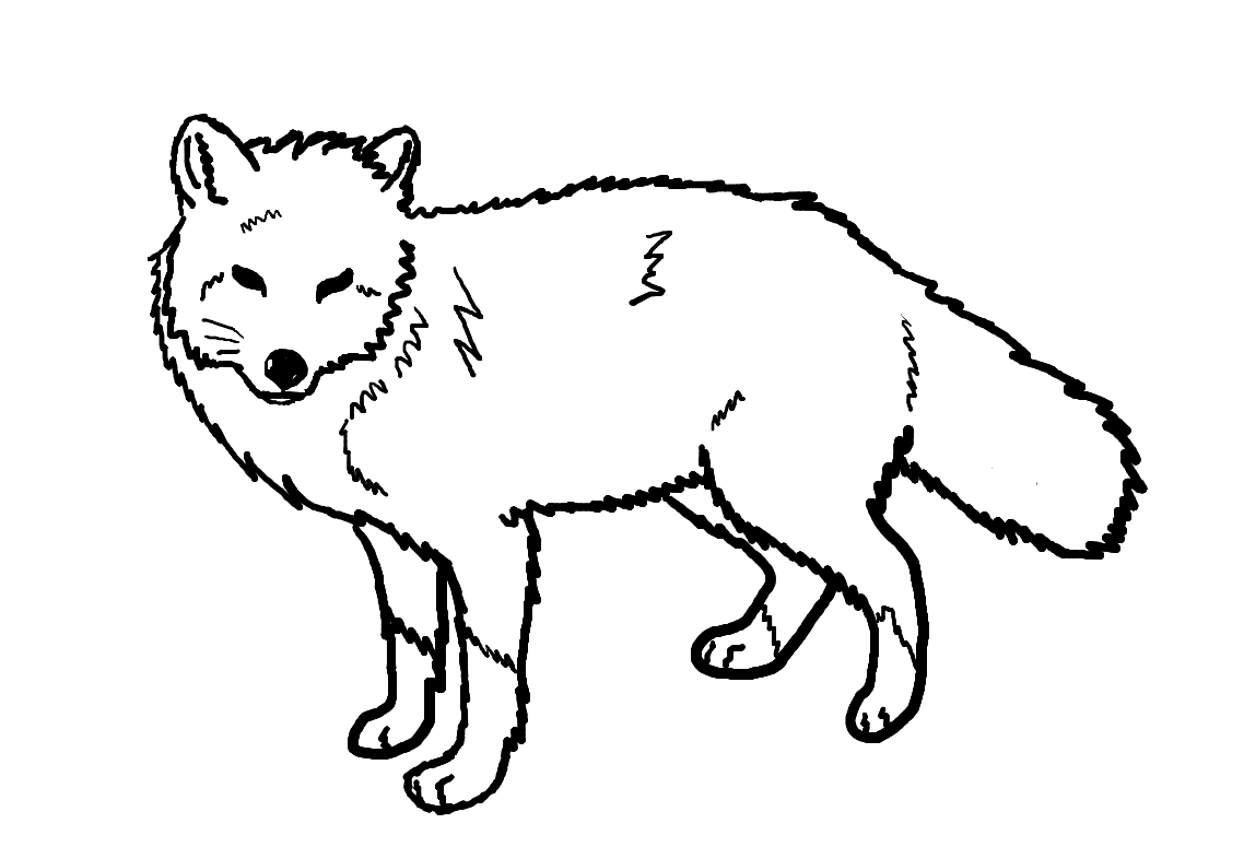1138x775 Cool Fox Pictures To Color Free Printable Coloring Pages For Kids