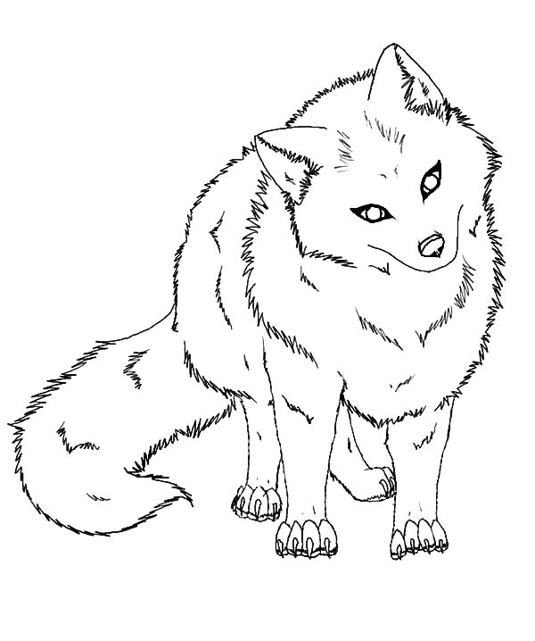 600x718 Animal Jam Arctic Fox Coloring Pages Baby Animals Head