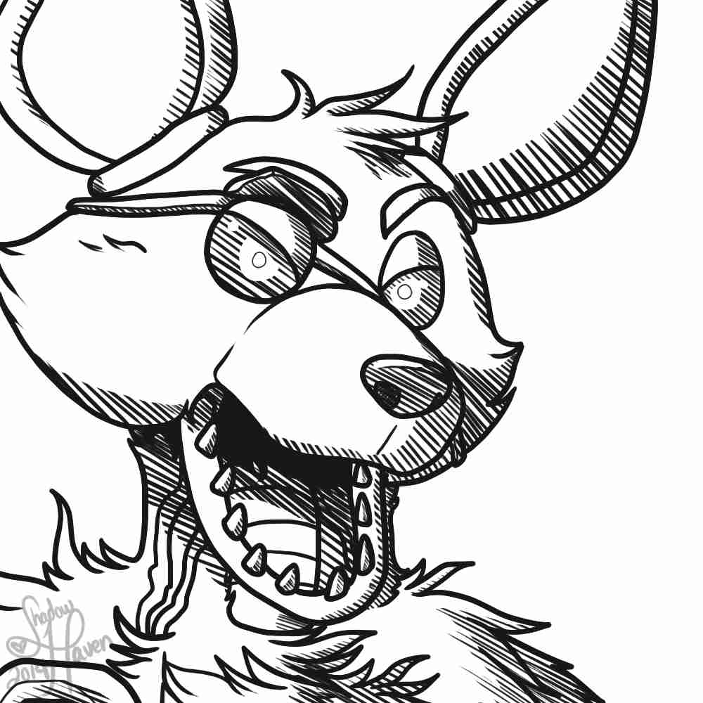 1000x1000 Five Nights At Freddys Fnaf Bonnie Foxy Mangle Coloring Pages