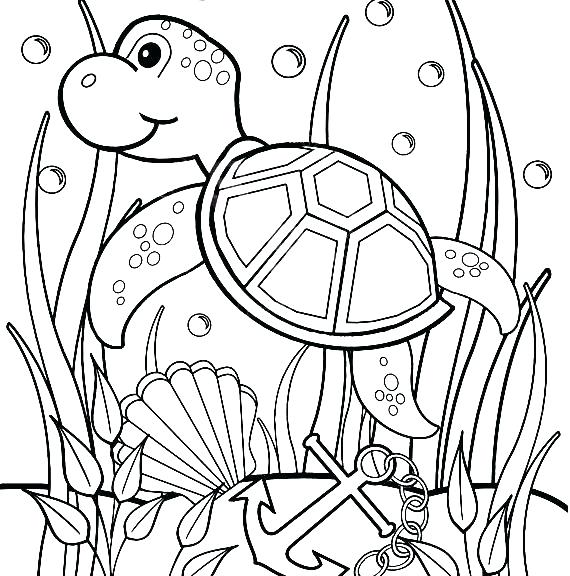 570x576 Franklin The Turtle Coloring Pages Good Turtle Coloring Pages