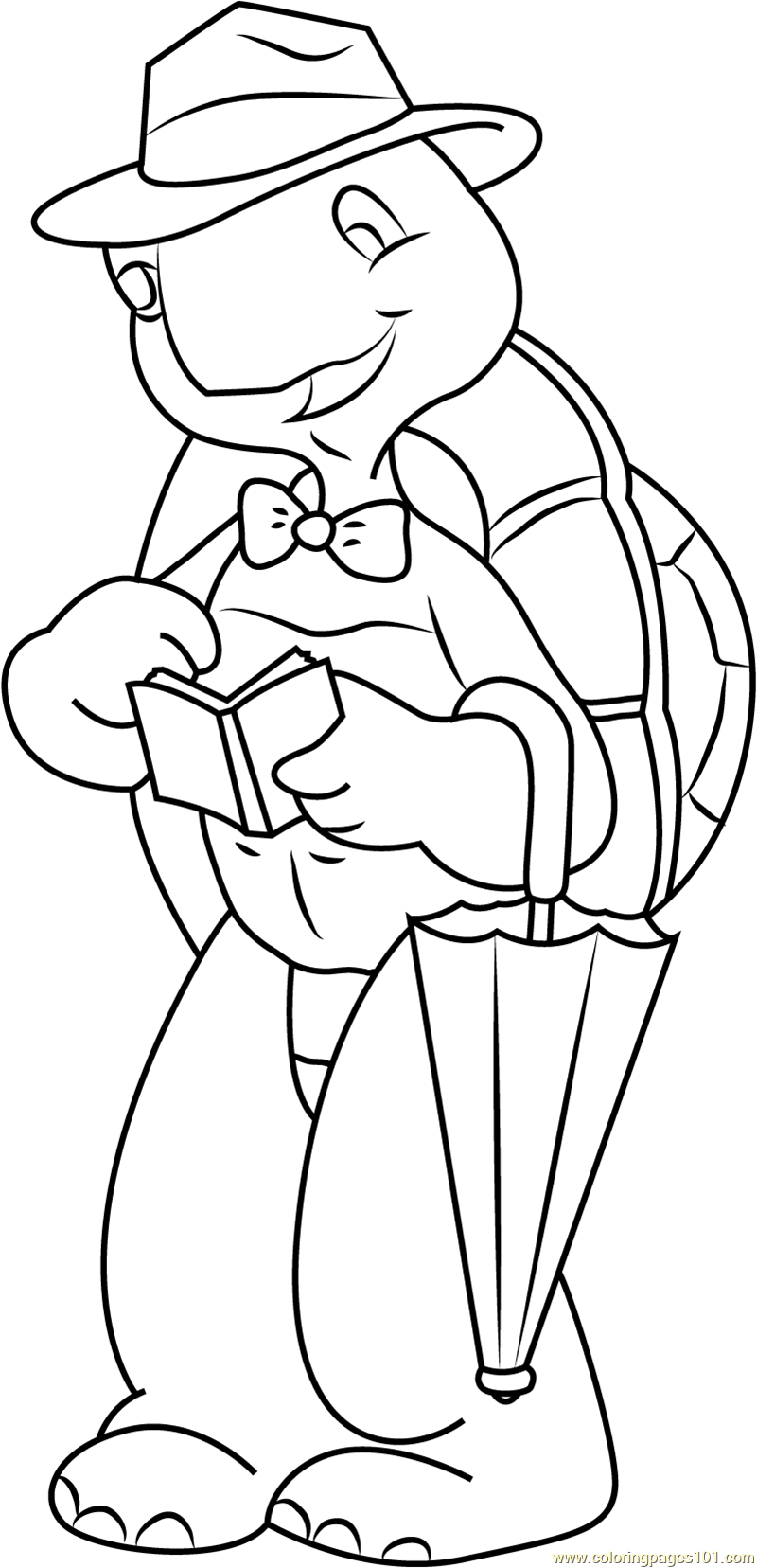 800x1656 Mr. Turtle Coloring Page
