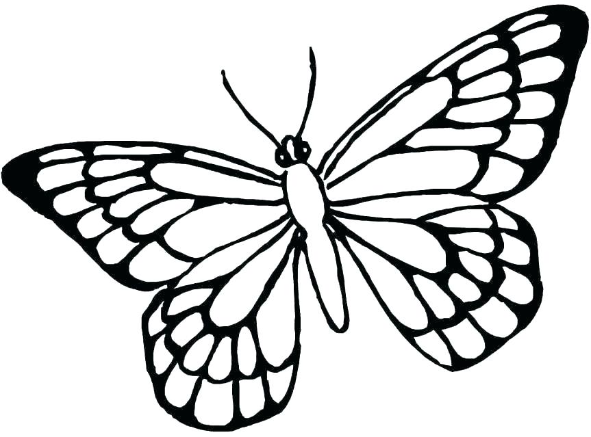 863x639 Butterfly Coloring Page Printable Coloring Pages Of Butterflies