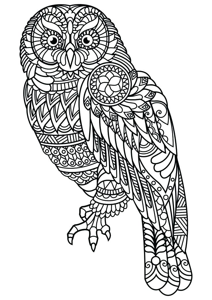 736x1040 Animal Coloring Pages Pdf Animal Coloring Pages Pdf Animal
