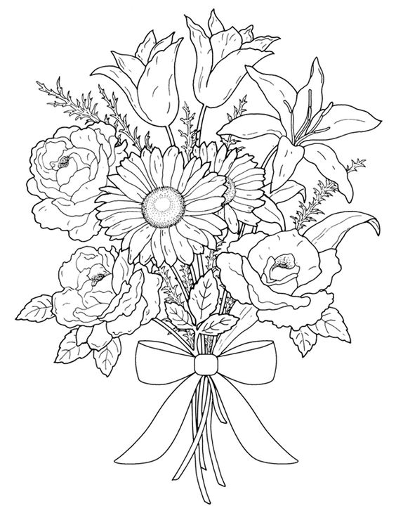 564x720 Adult Coloring Pages Flowers Free Printable Adult Coloring Pages