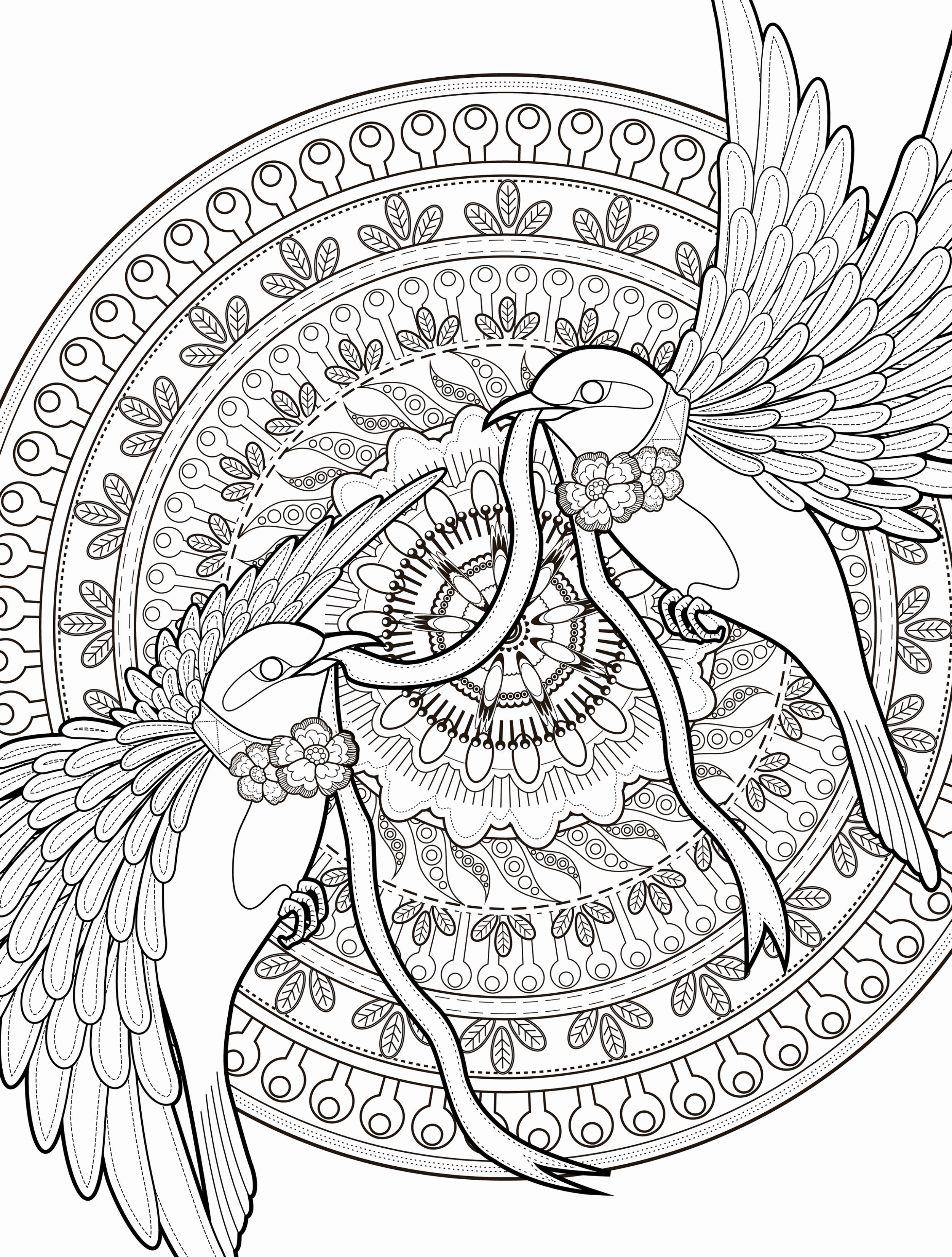 2500x3300 Free Adult Coloring Pages Pdf Awesome Downloadable Adult Coloring