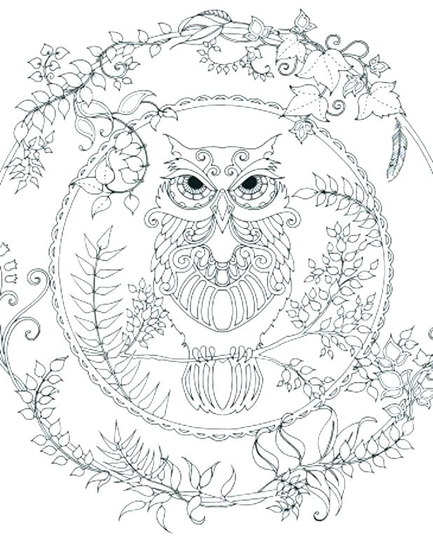 618x772 Wolf Coloring Sheets Wolf Coloring Pages To Print Wolf Coloring