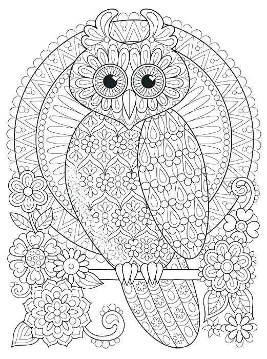 521x700 Owl Color Pages Color Your Own Owl Coloring Pages Free Printable
