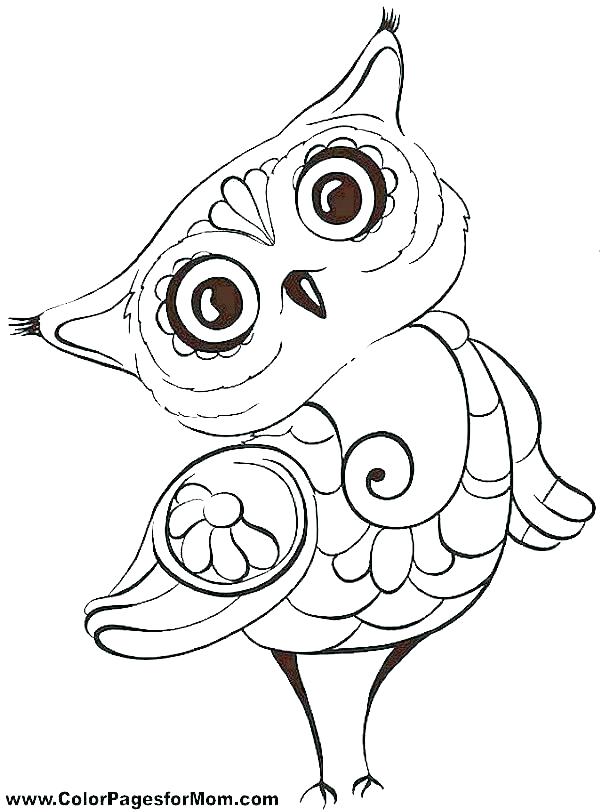 600x812 Owl Color Pages Owl Coloring Pages Cute Baby Owl Coloring Pages