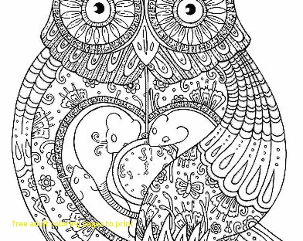 1000x796 Awesome Owl Coloring Book Pages Coloring Pages Coloring Pages
