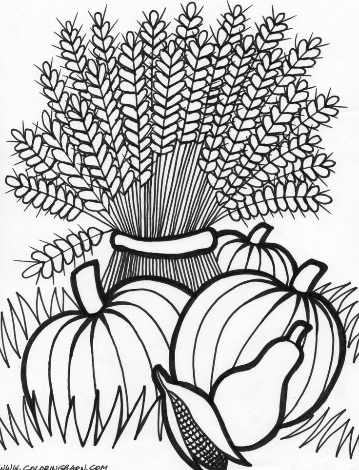 Free Adult Thanksgiving Coloring Pages