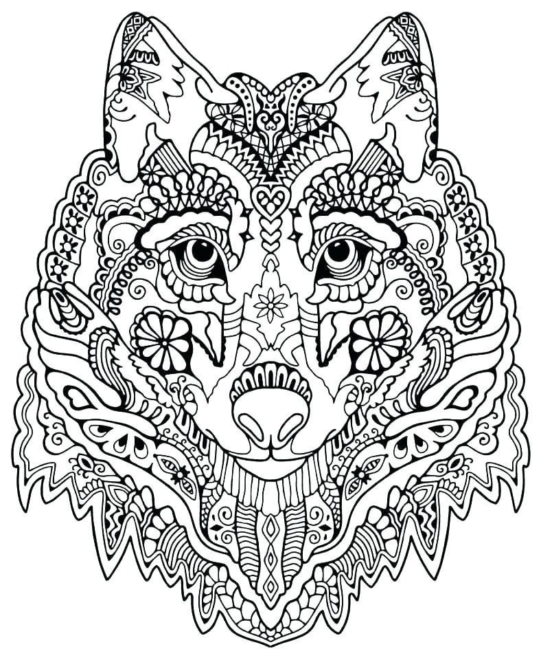 788x960 Advanced Flower Coloring Pages Advanced Flower Coloring Pages Free