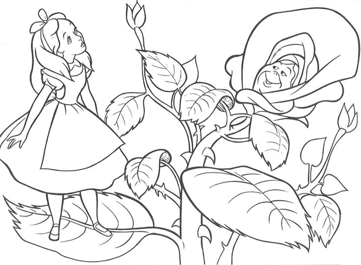 736x540 95 Best Alice In Wonderland Adult Coloring Pages Images
