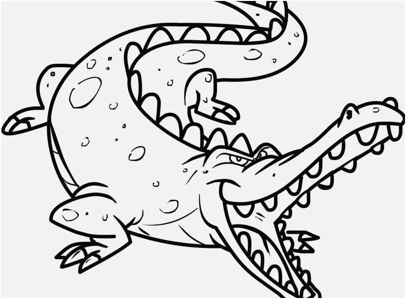 827x609 Alligator Coloring Pages Shoot Free Printable Crocodile Coloring