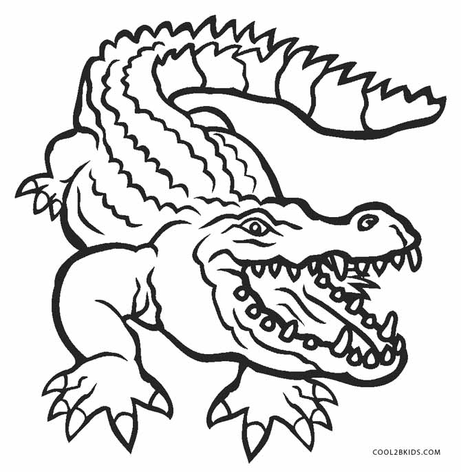 670x685 Free Printable Alligator Coloring Pages For Kids Cool2bkids