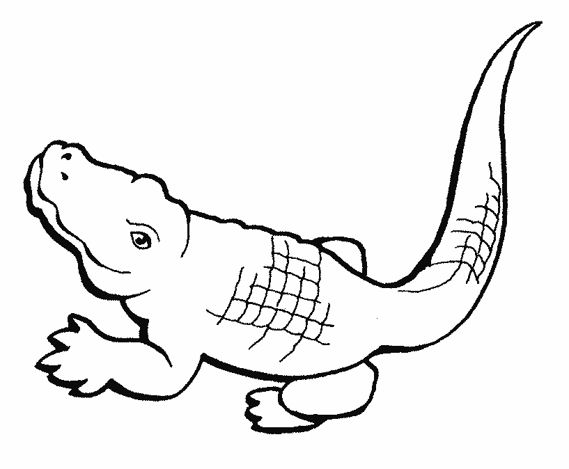 817x674 Alligator Coloring Page Beautiful Free Coloring Pages Crocodiles