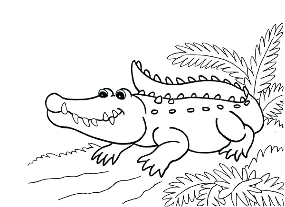 960x699 Alligator Coloring Page Free Alligator Coloring Pages Printable