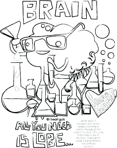 380x480 Anatomy Coloring Book Free