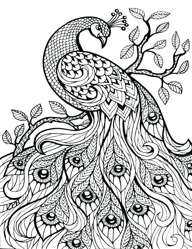 618x800 Animal Coloring Pages For Adults Printable Coloring Pages Hard