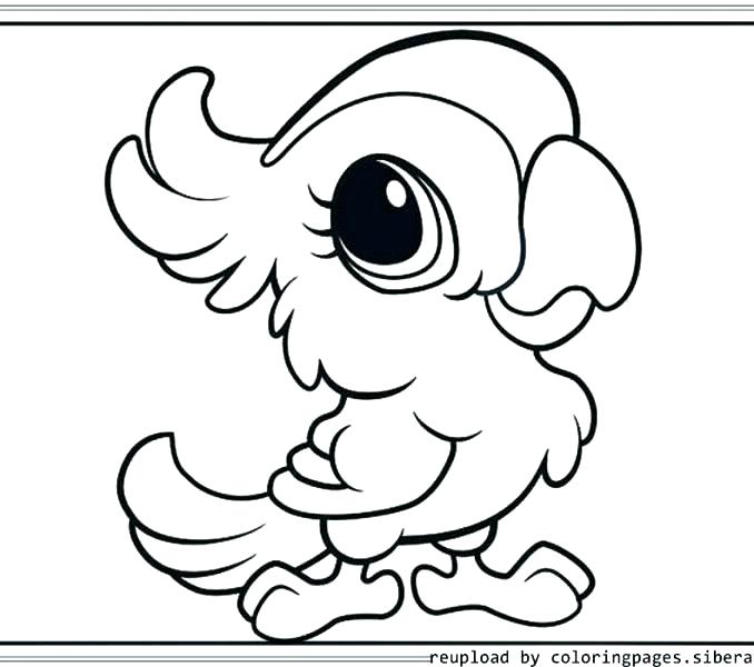 678x600 Animal Coloring Pages Free Coloring Pages For Animals Zoo Animals