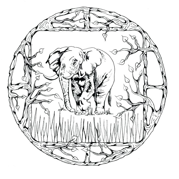 736x736 Beautiful Animal Mandala Coloring Pages And Free Abstract Coloring