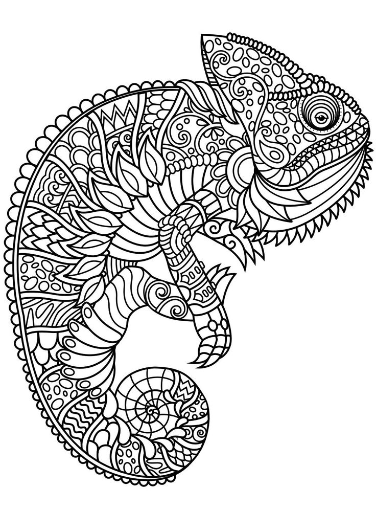 736x1040 Animal Mandala Coloring Pages 25 Trending Mandala Animals Ideas