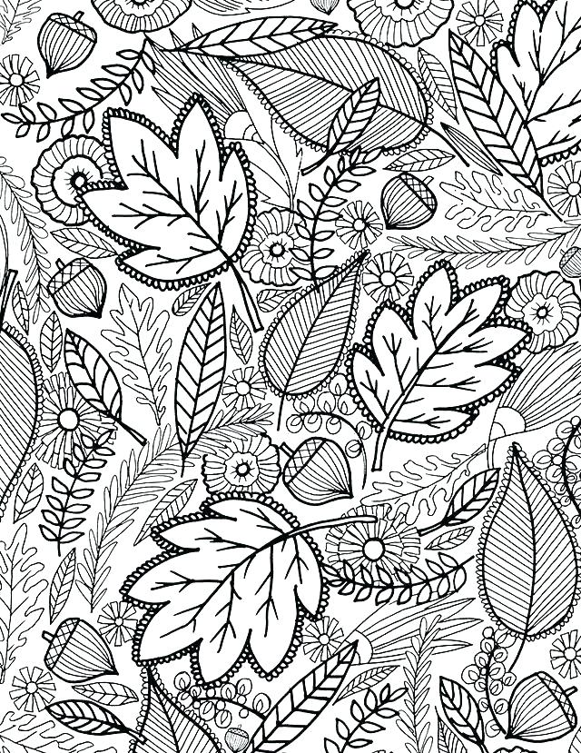 640x829 Free Fall Coloring Pages Fall Color Pages Free Autumn Coloring