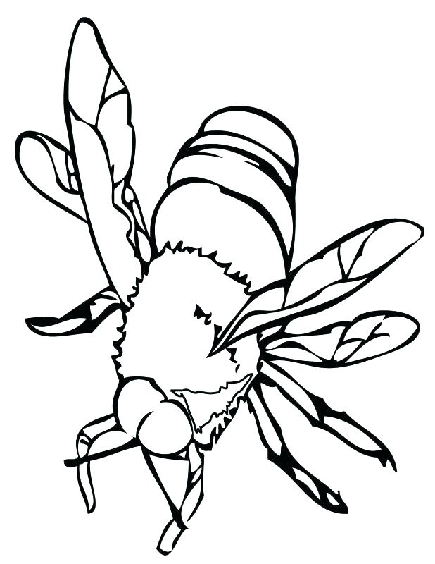 618x800 Printable Bumble Bee