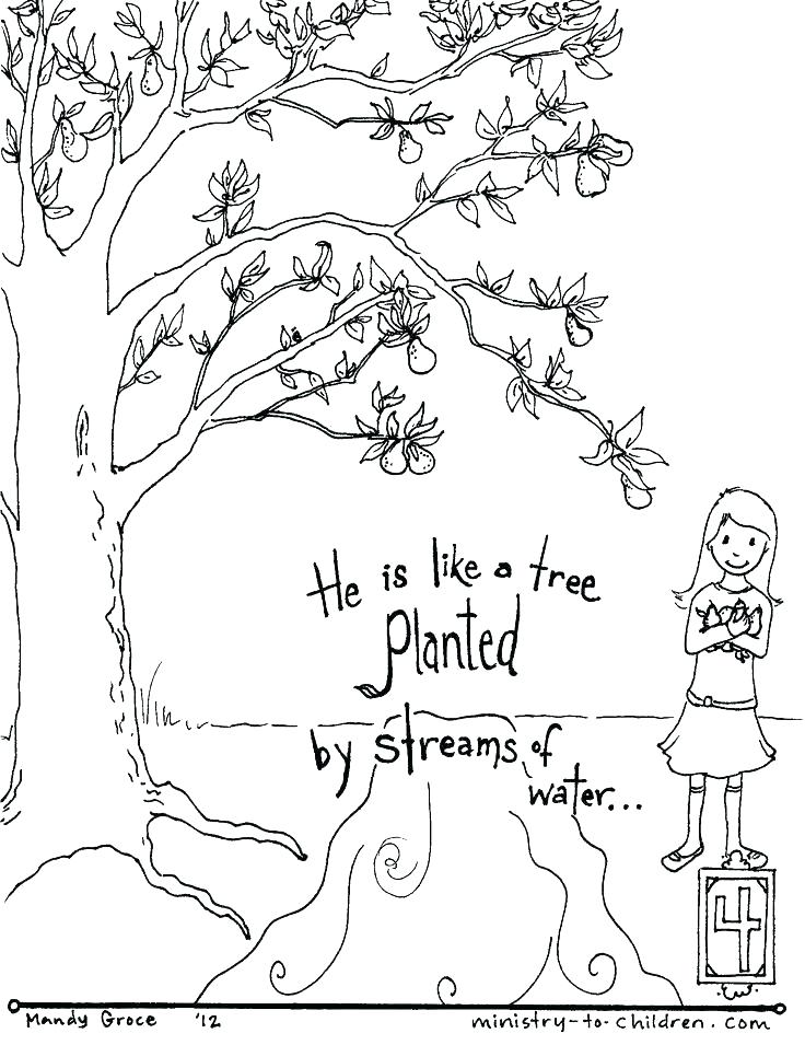 736x955 Bible Verse Coloring Page Preschool Bible Coloring Pages Free