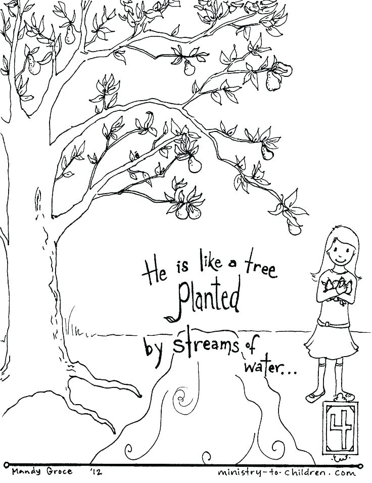 736x955 Bible Coloring Pages F Cool Free Bible Coloring Pages For Kids