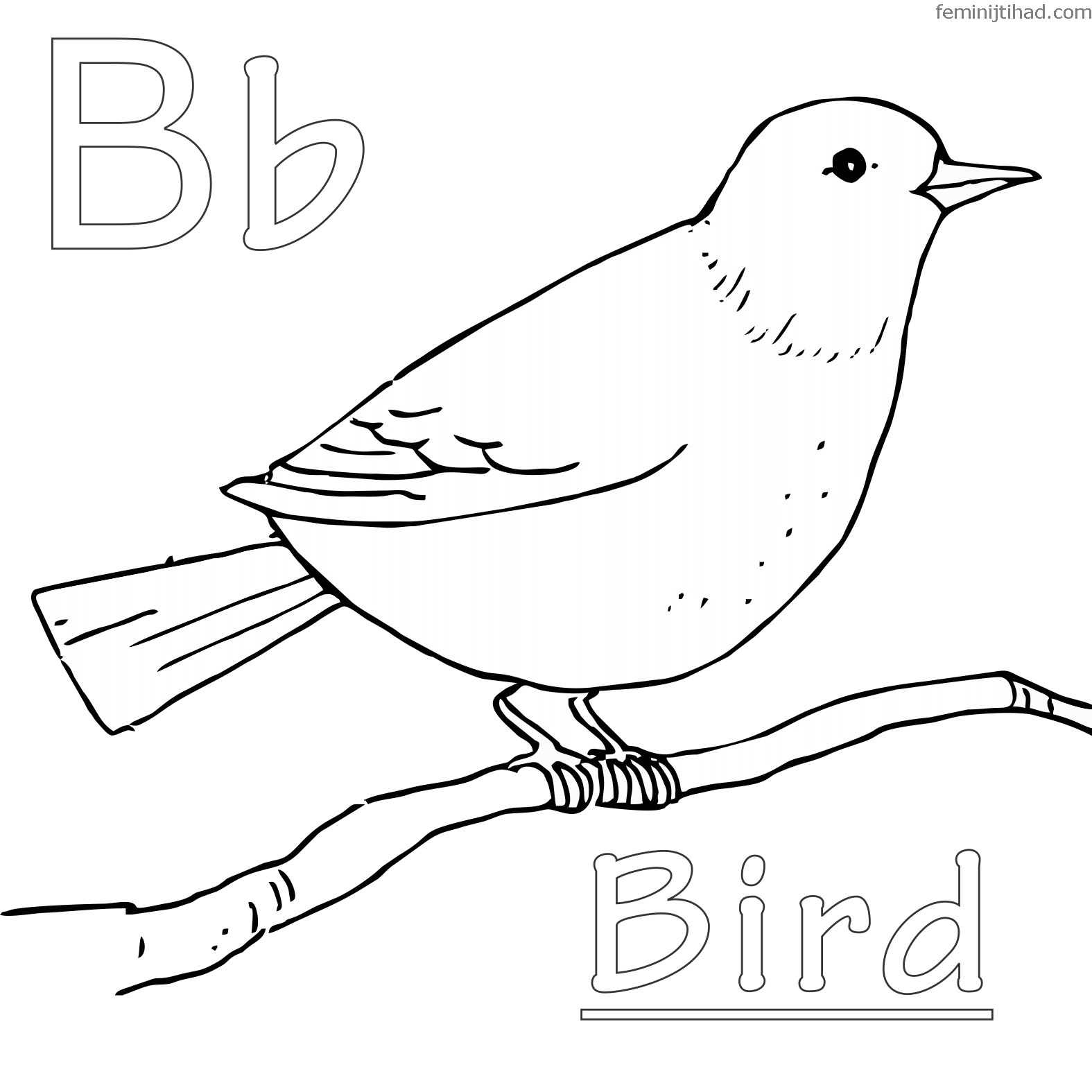 Free Bird Coloring Pages