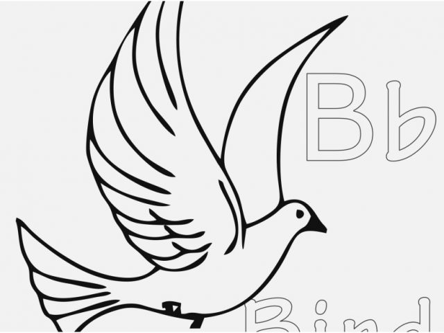640x480 Bird Coloring Pages Photographs 20 Free Bird Coloring Pages