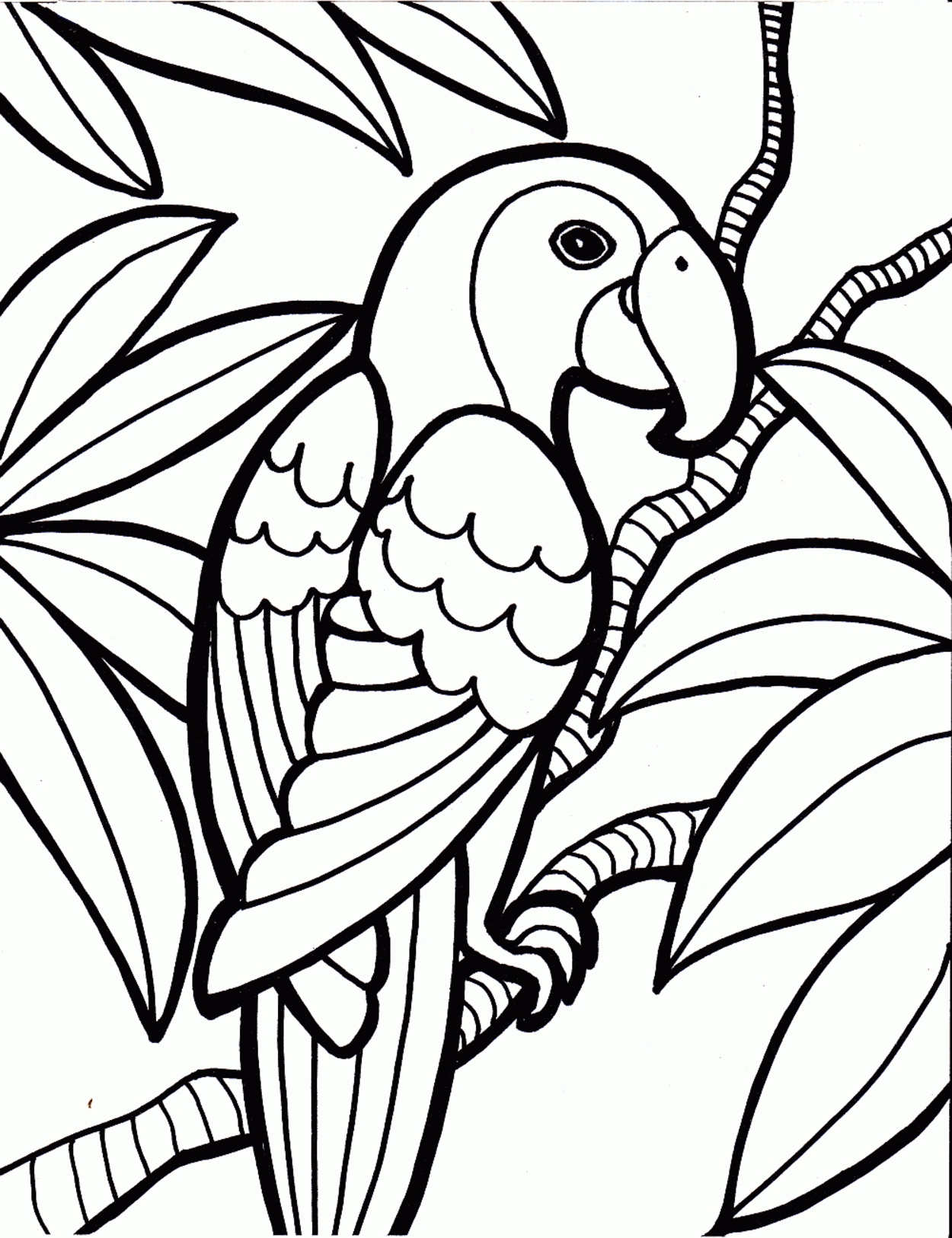 1250x1626 Awesome Bird Coloring Page Design Printable Coloring Sheet