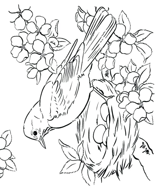 670x820 Bird Coloring Page Best Bird Coloring Pages Ideas On Flower New
