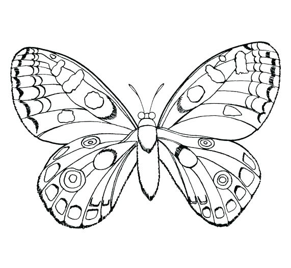 571x525 Insects Coloring Pages Bugs And Insects Coloring Pages Printable