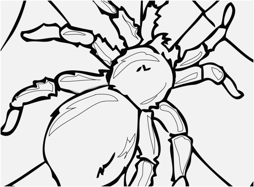 827x609 Printable Coloring Pages Vw Bug Shoot Insect Coloring Pages 7730