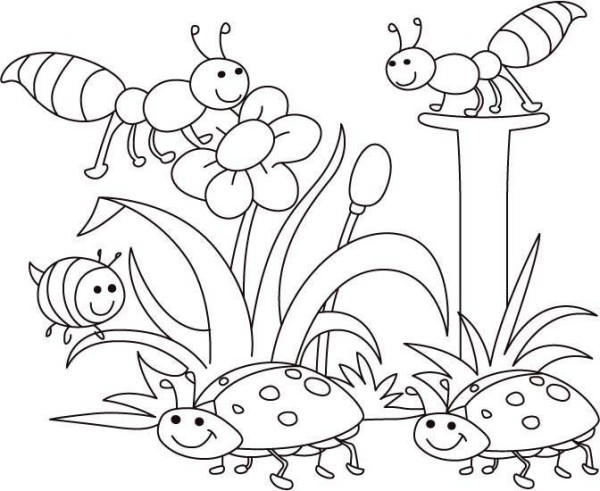 600x491 Spring Bugs Coloring Pages