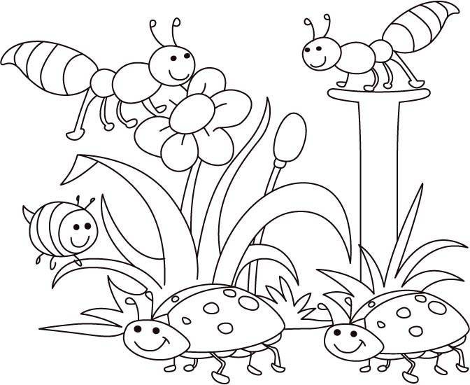 672x550 Bug Coloring Pages For Kids