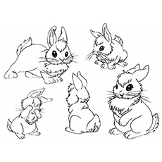 230x230 Top 15 Free Printable Bunny Coloring Pages Online