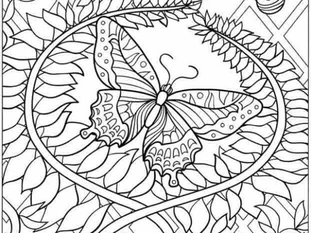 640x480 Free Printable Adult Coloring Pages Butterflies, Free Printable