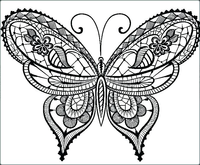 678x562 Butterflies Coloring Pages Free Butterfly Coloring Pages 4