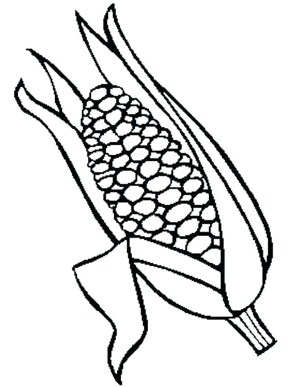 600x752 Corn Coloring Page Coloring Page Of Corn Corn Stalk Coloring Page