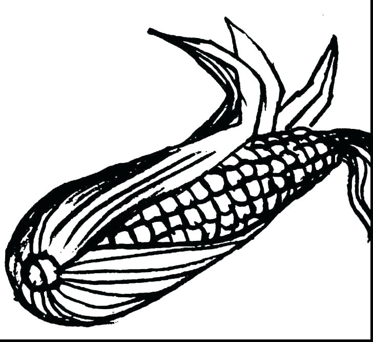 728x666 Corn Coloring Page Pretty Corn Coloring Pages Fee Top Rated Candy